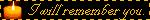 iwillrememeryou.jpg